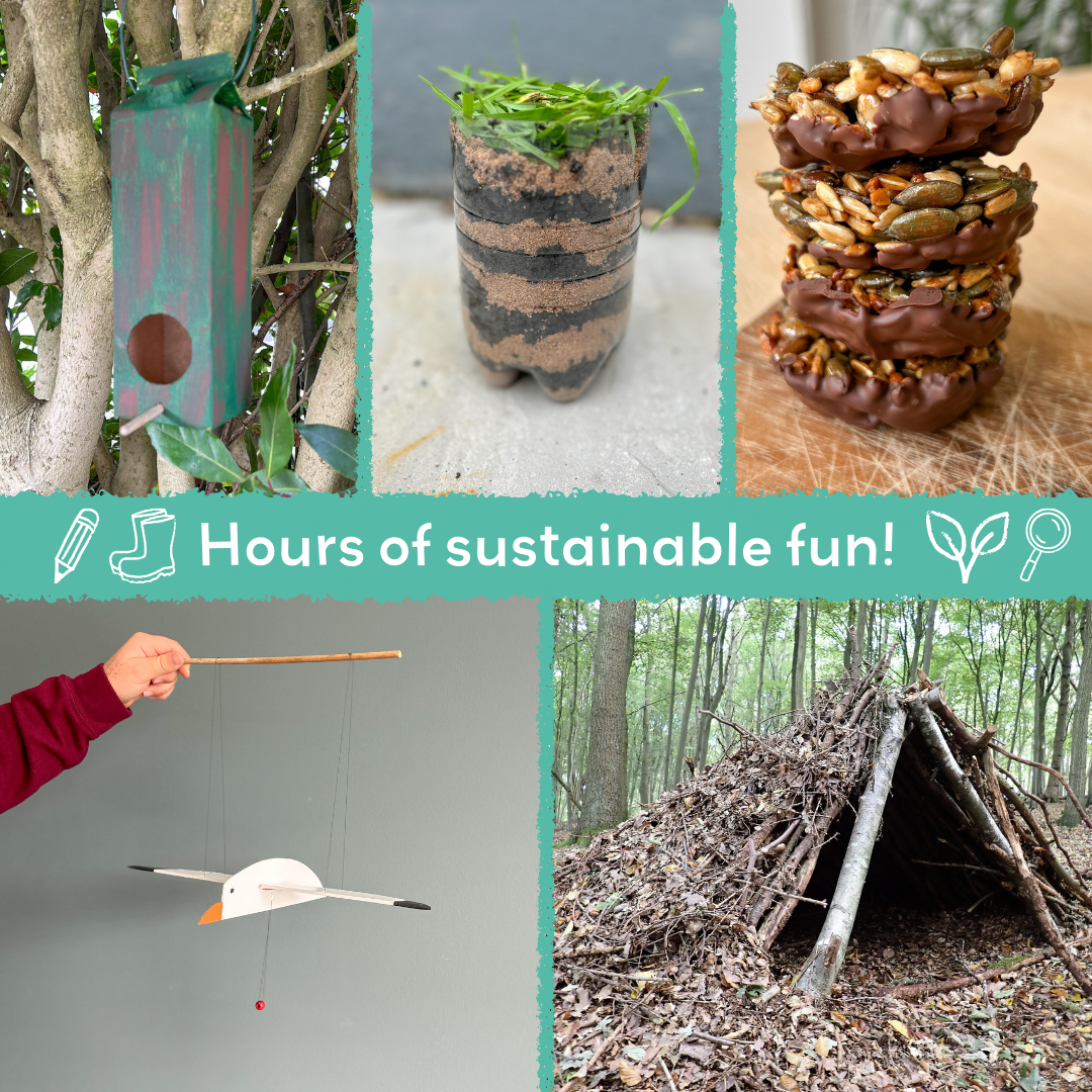 SECRET LIFE OF BIRDS eco activity kit & sustainable fun