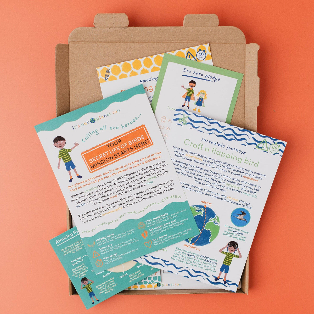 SECRET LIFE OF BIRDS eco activity kit & sustainable fun