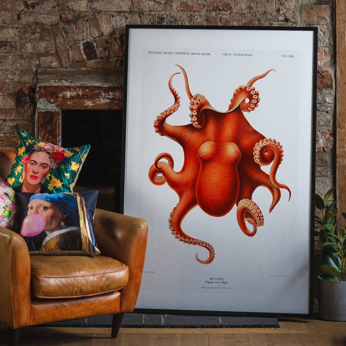 Octopus Vintage Antique Print: Matte / 8 ¼ x 11 ¾ in | 21x30 cm