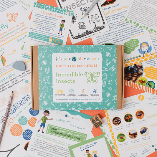 INCREDIBLE INSECTS eco activity kit & sustainable fun