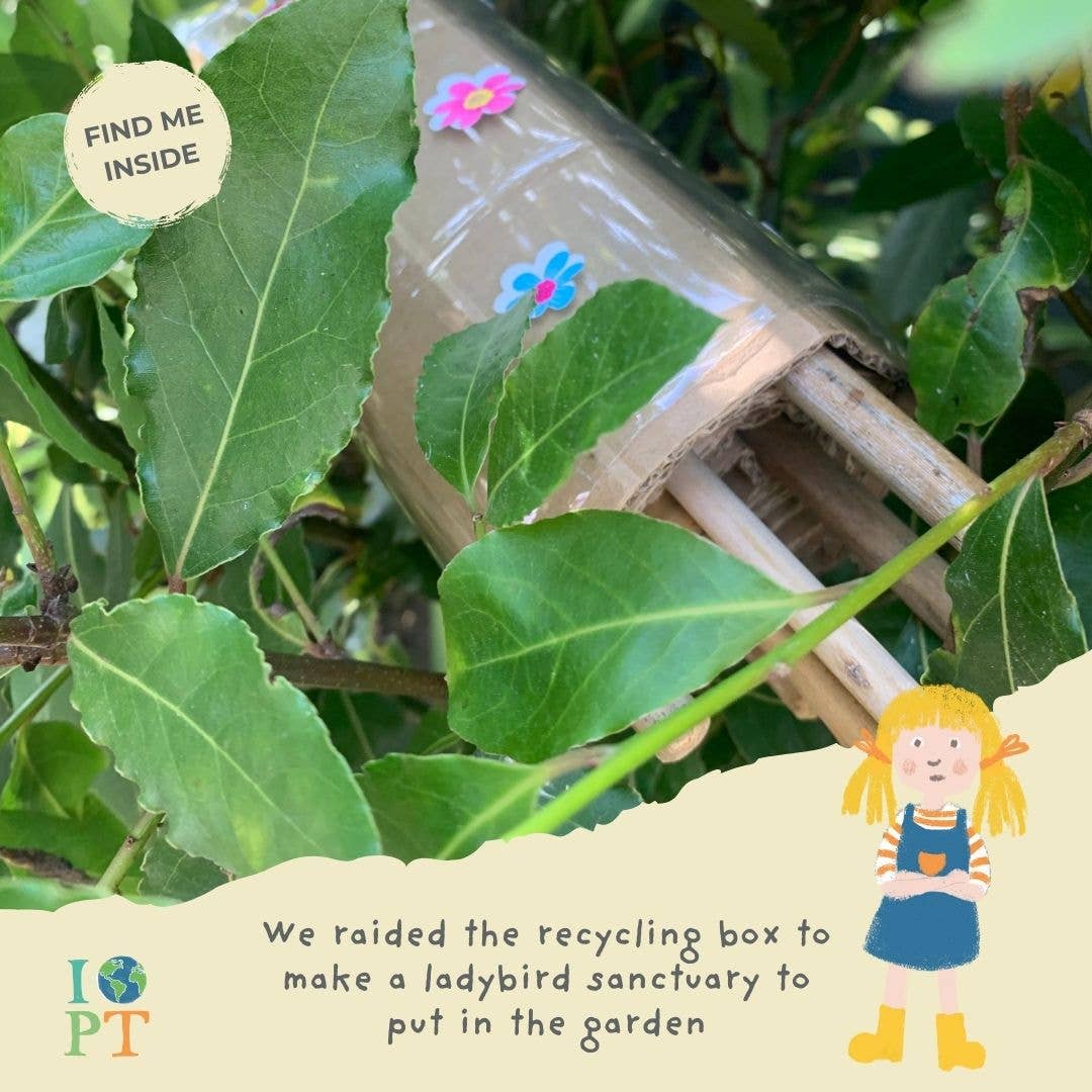 INCREDIBLE INSECTS eco activity kit & sustainable fun