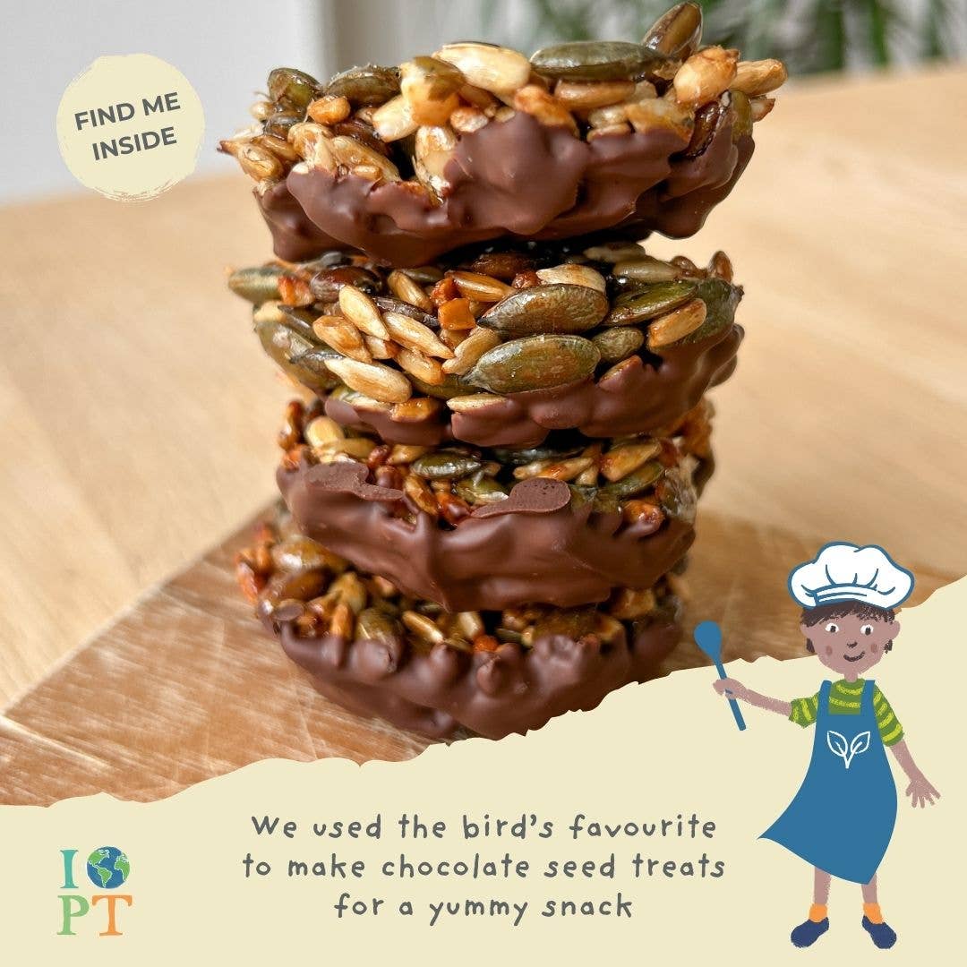 SECRET LIFE OF BIRDS eco activity kit & sustainable fun