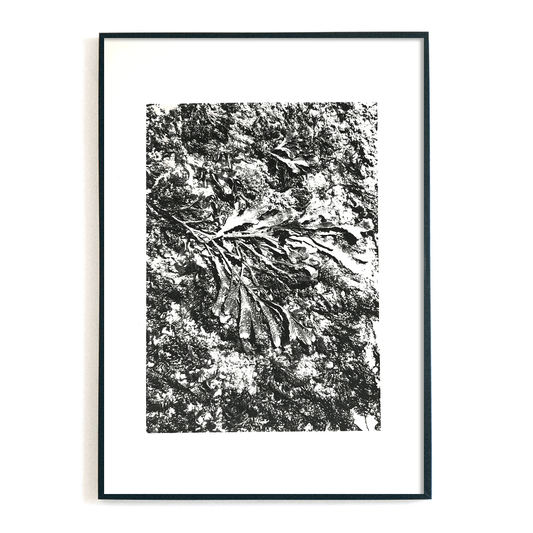 A2 Seaweed
