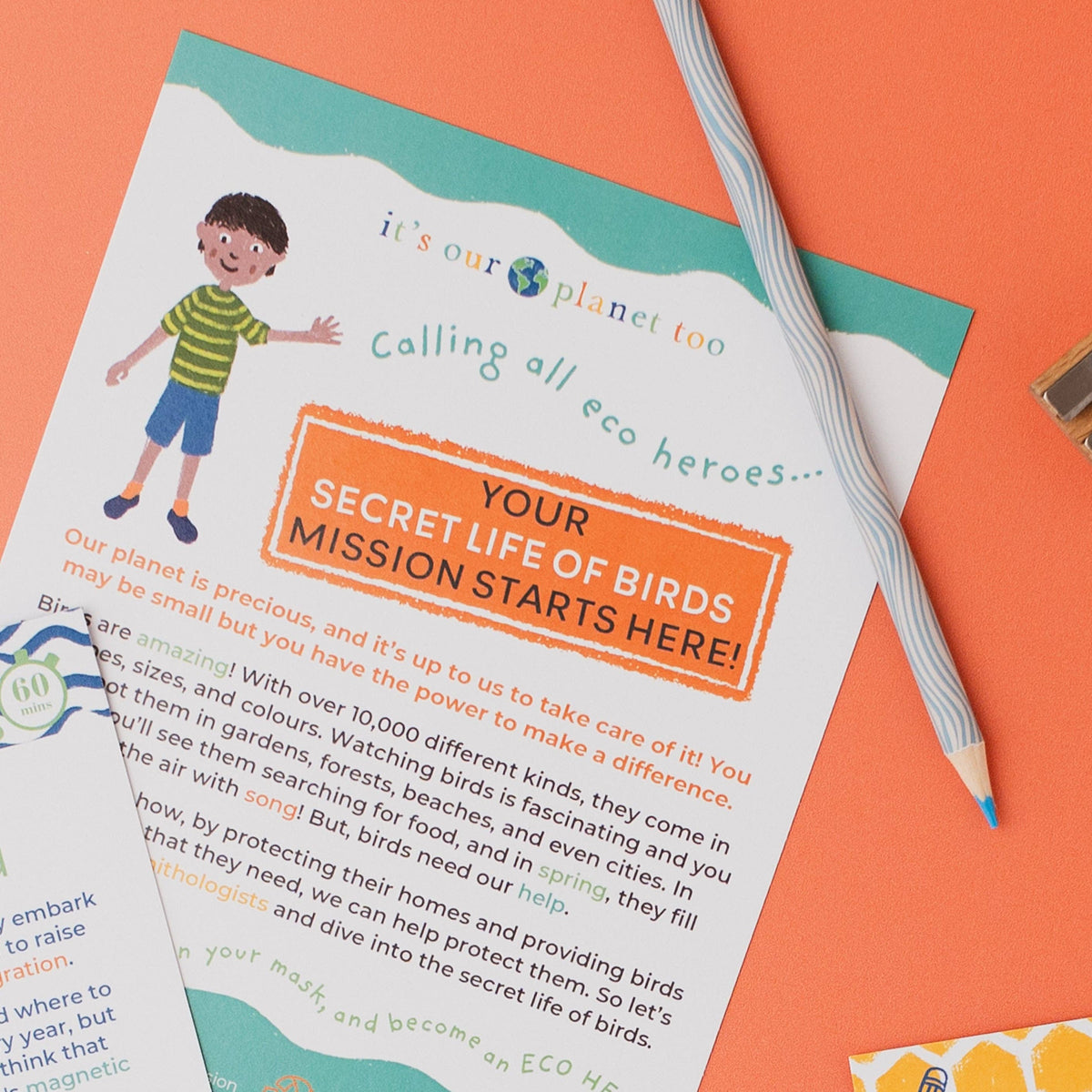 SECRET LIFE OF BIRDS eco activity kit & sustainable fun
