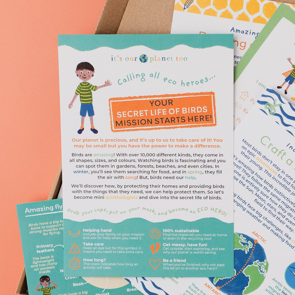 SECRET LIFE OF BIRDS eco activity kit & sustainable fun
