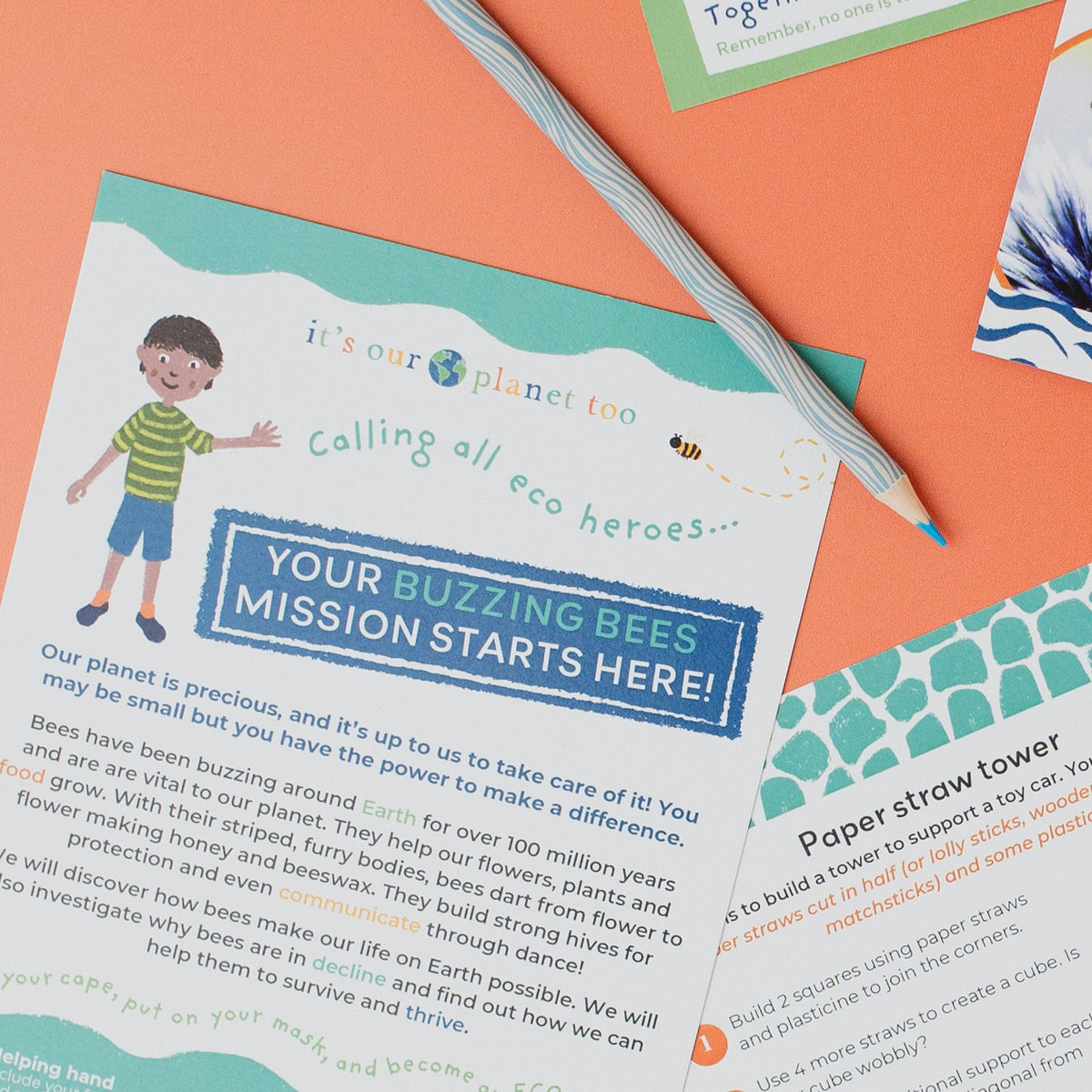 BUZZING BEES eco activity kit & sustainable fun