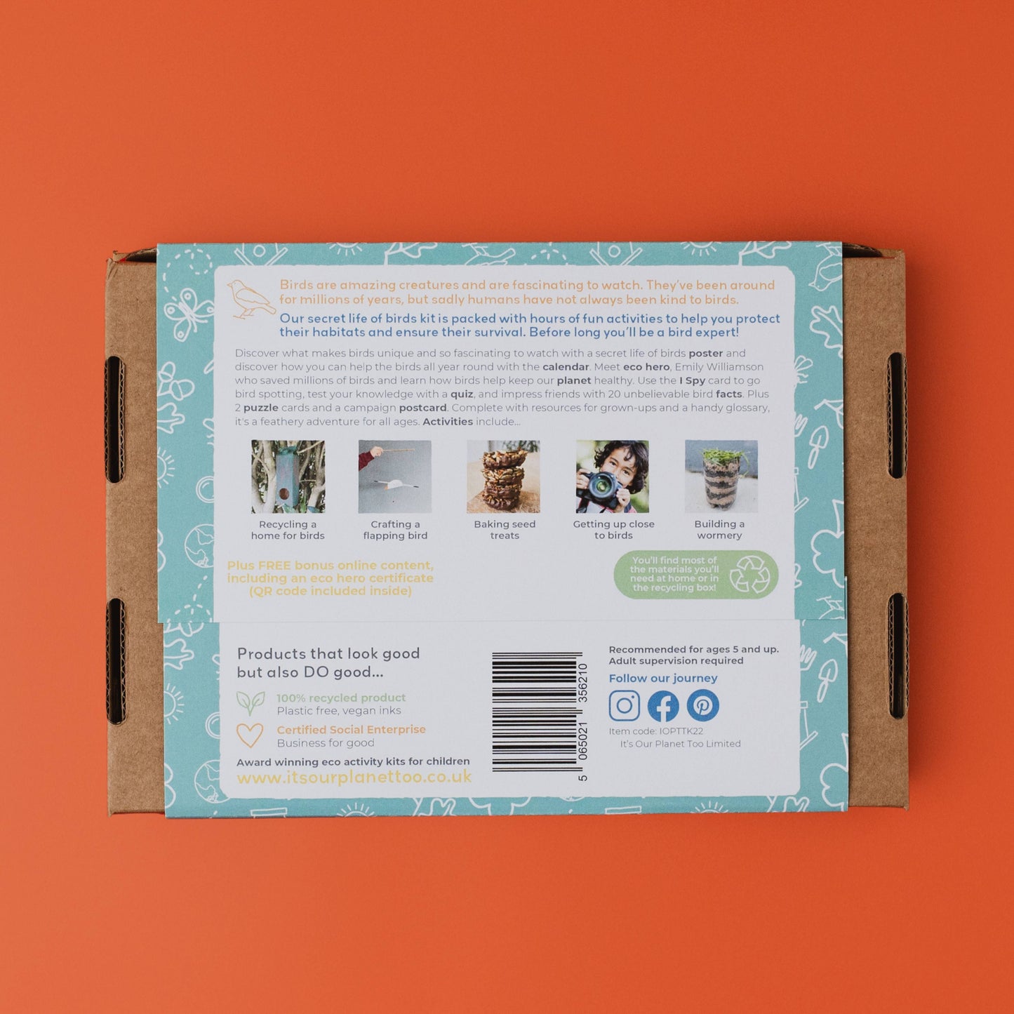 SECRET LIFE OF BIRDS eco activity kit & sustainable fun