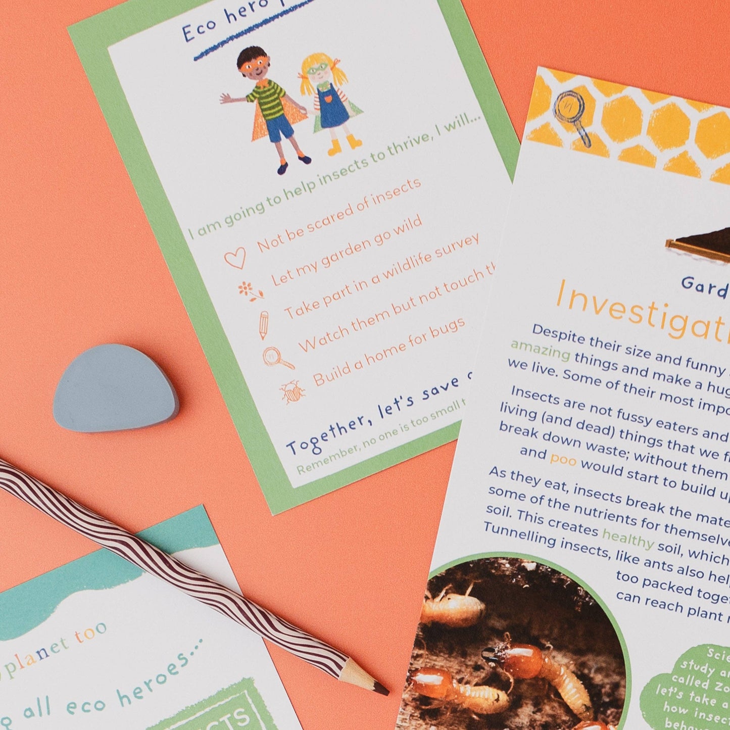 INCREDIBLE INSECTS eco activity kit & sustainable fun