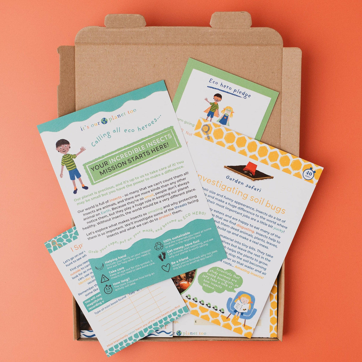 INCREDIBLE INSECTS eco activity kit & sustainable fun