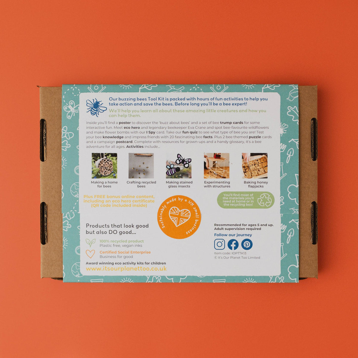 BUZZING BEES eco activity kit & sustainable fun