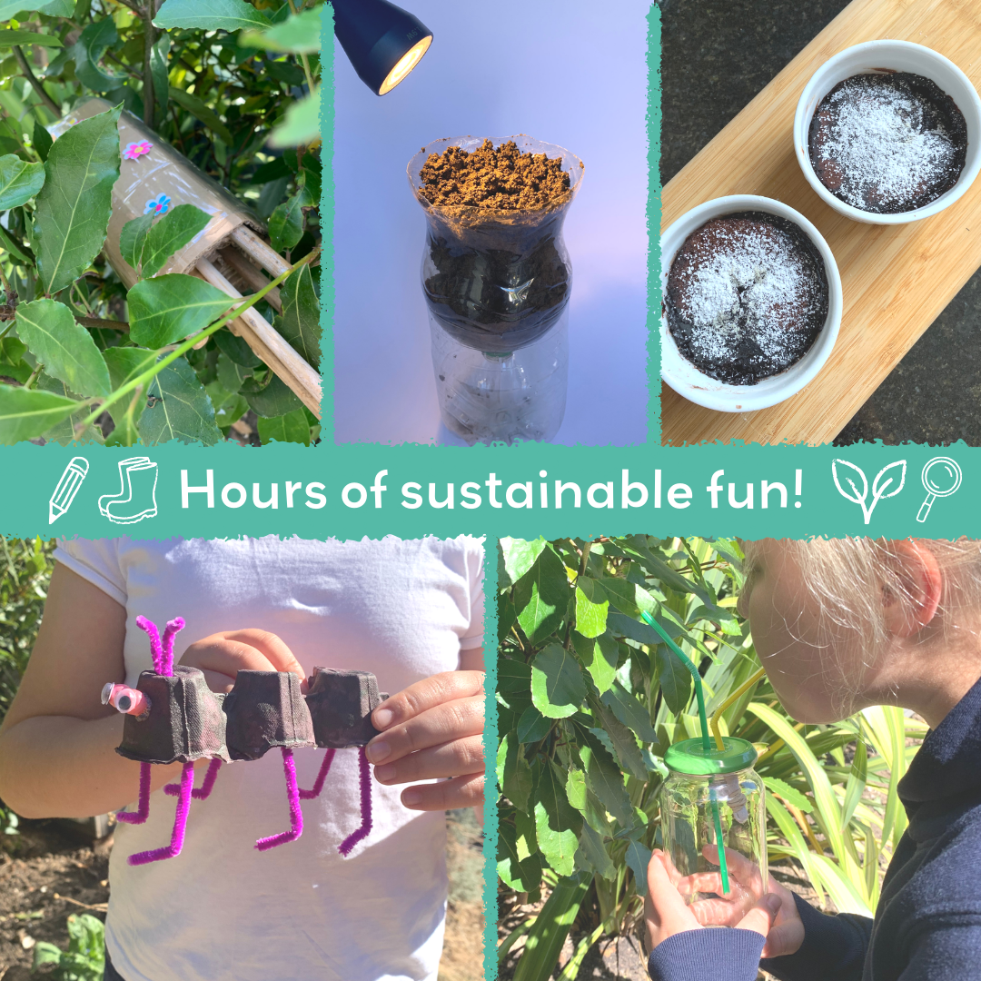 INCREDIBLE INSECTS eco activity kit & sustainable fun