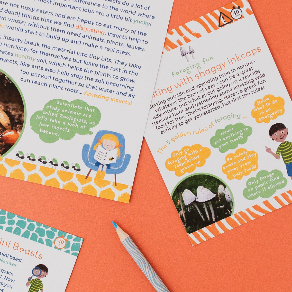 INCREDIBLE INSECTS eco activity kit & sustainable fun