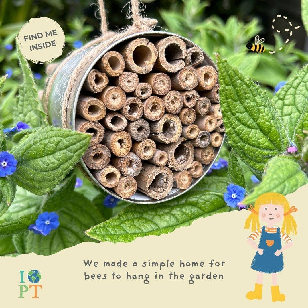BUZZING BEES eco activity kit & sustainable fun