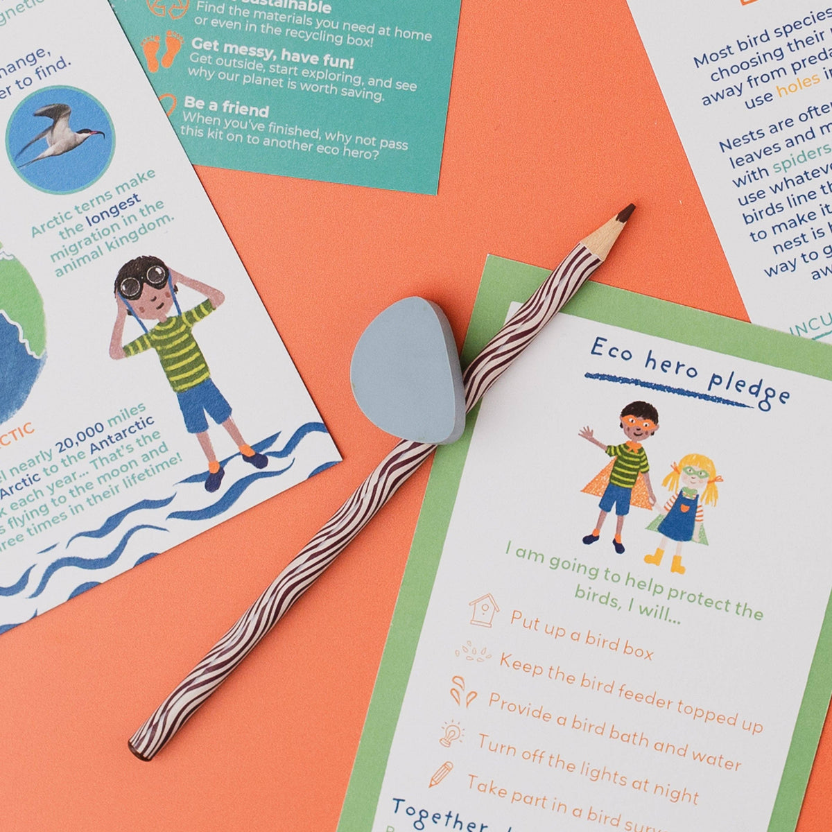 SECRET LIFE OF BIRDS eco activity kit & sustainable fun