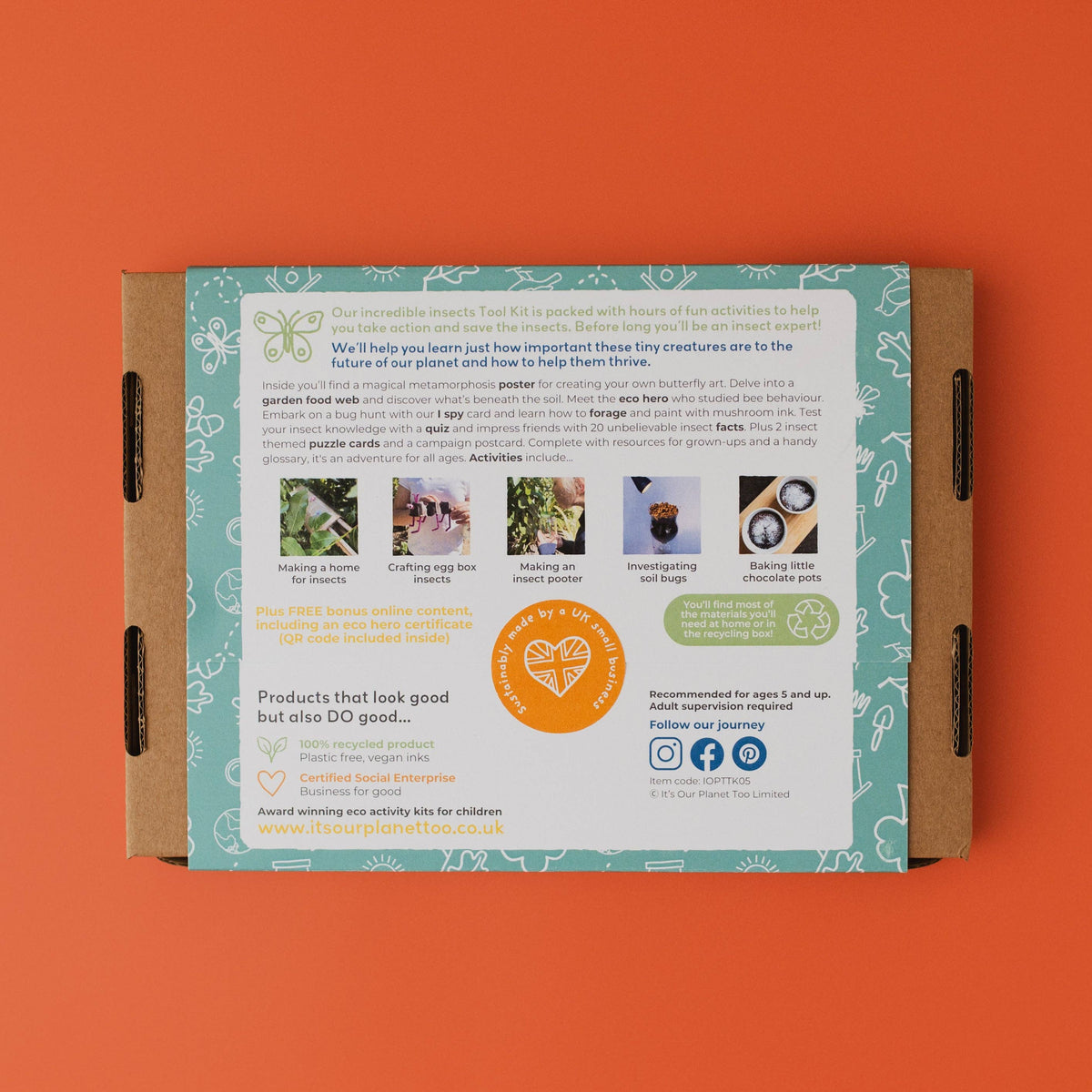 INCREDIBLE INSECTS eco activity kit & sustainable fun