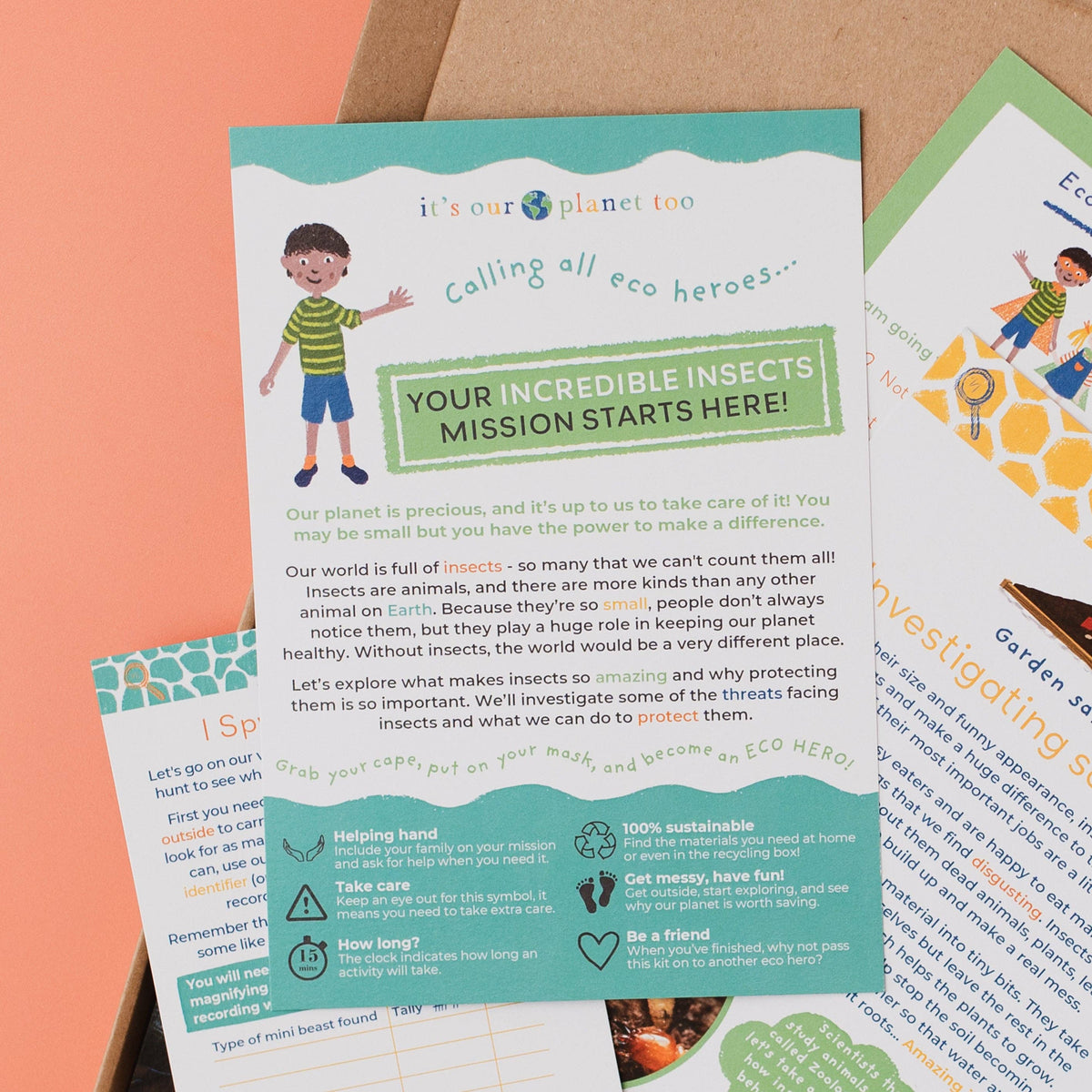 INCREDIBLE INSECTS eco activity kit & sustainable fun