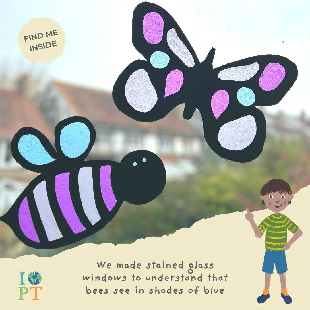 BUZZING BEES eco activity kit & sustainable fun