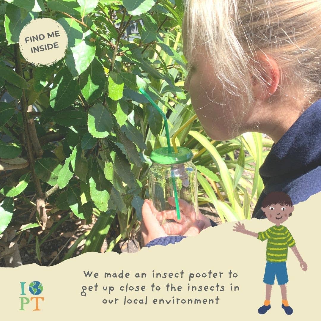 INCREDIBLE INSECTS eco activity kit & sustainable fun