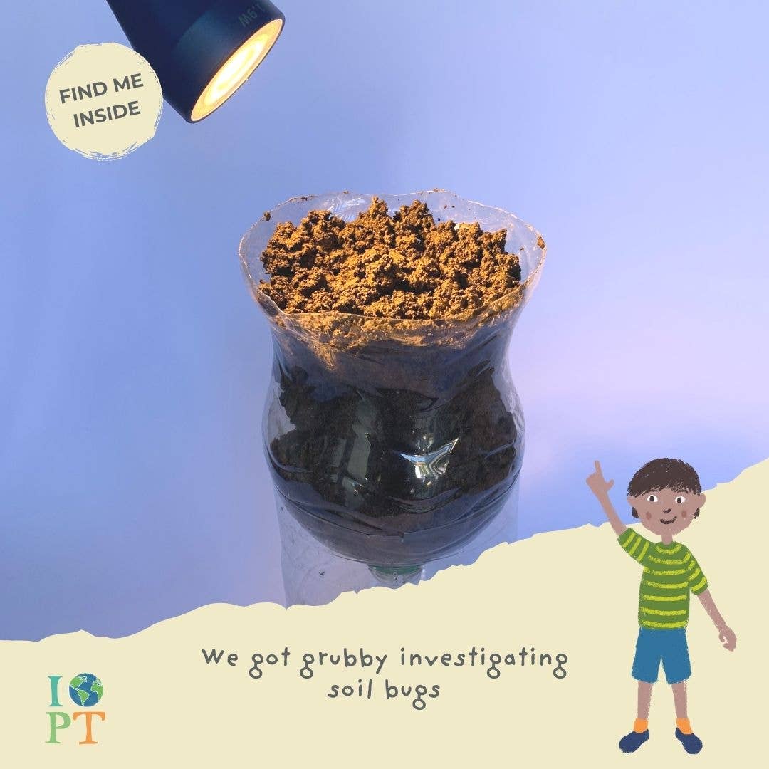 INCREDIBLE INSECTS eco activity kit & sustainable fun
