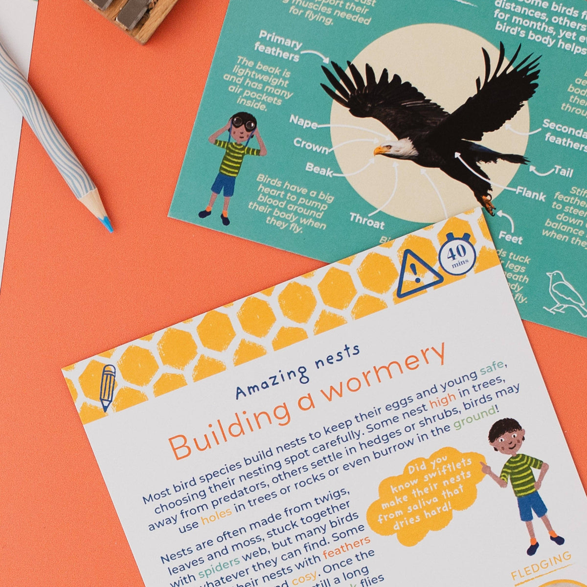 SECRET LIFE OF BIRDS eco activity kit & sustainable fun