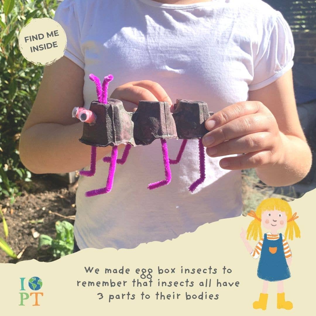 INCREDIBLE INSECTS eco activity kit & sustainable fun