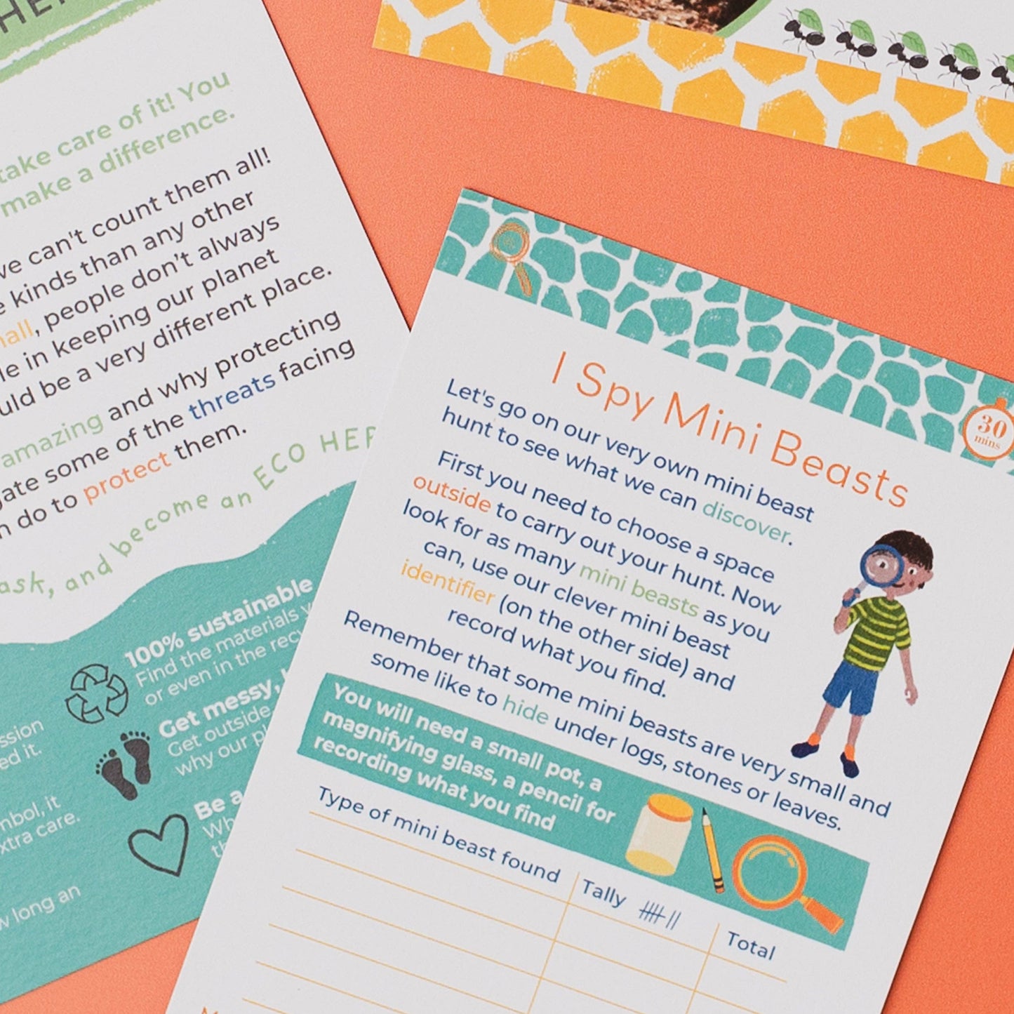 INCREDIBLE INSECTS eco activity kit & sustainable fun